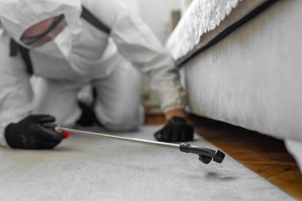 Professional Termite Control technician working in Ackley, IA