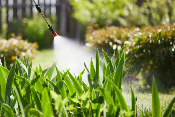 24/7 Emergency Termite Control experts in Ackley, IA
